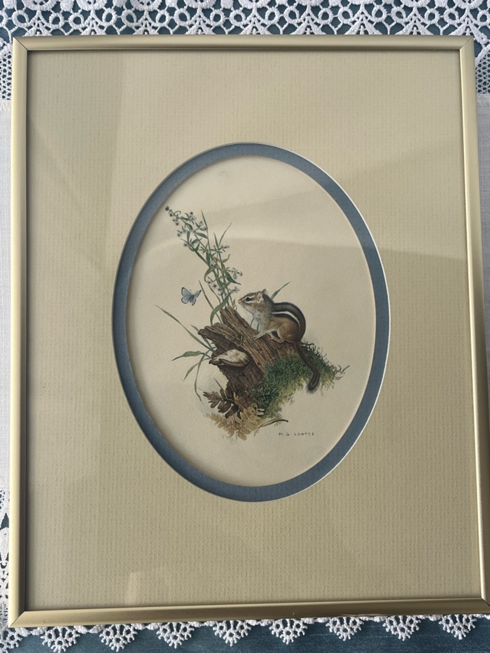 Vintage M.G. Loates "Chipmunk and Woodland Blue Butterfly" Framed Wildlife Print